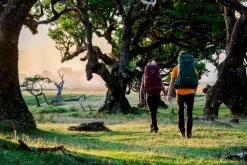 Osprey Rook Backpack - 65 Liter - Zwart -Professionele winkel voor buitensportartikelen osprey rennrook